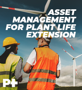 Asset Management for Plant Life Extension