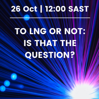 To LNG or not: Is that the question?